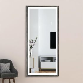 22" x 48" Led Lighted Full Length Mirror; Body Mirrors with Antique Brass Frame; Touch Switch and Stepless Dimmable