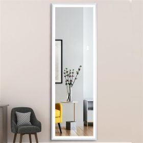 22" x 65" Led Lighted Full Length Mirror; Body Mirrors with Brushed Silver Frame; Touch Switch and Stepless Dimmable