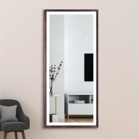 22" x 48" Led Lighted Full Length Mirror; Body Mirrors with Oil Brass Frame; Touch Switch and Stepless Dimmable